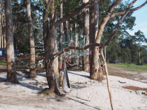 A photo of swings and nets amongst the trees at Denmark Thrills Adventure Park